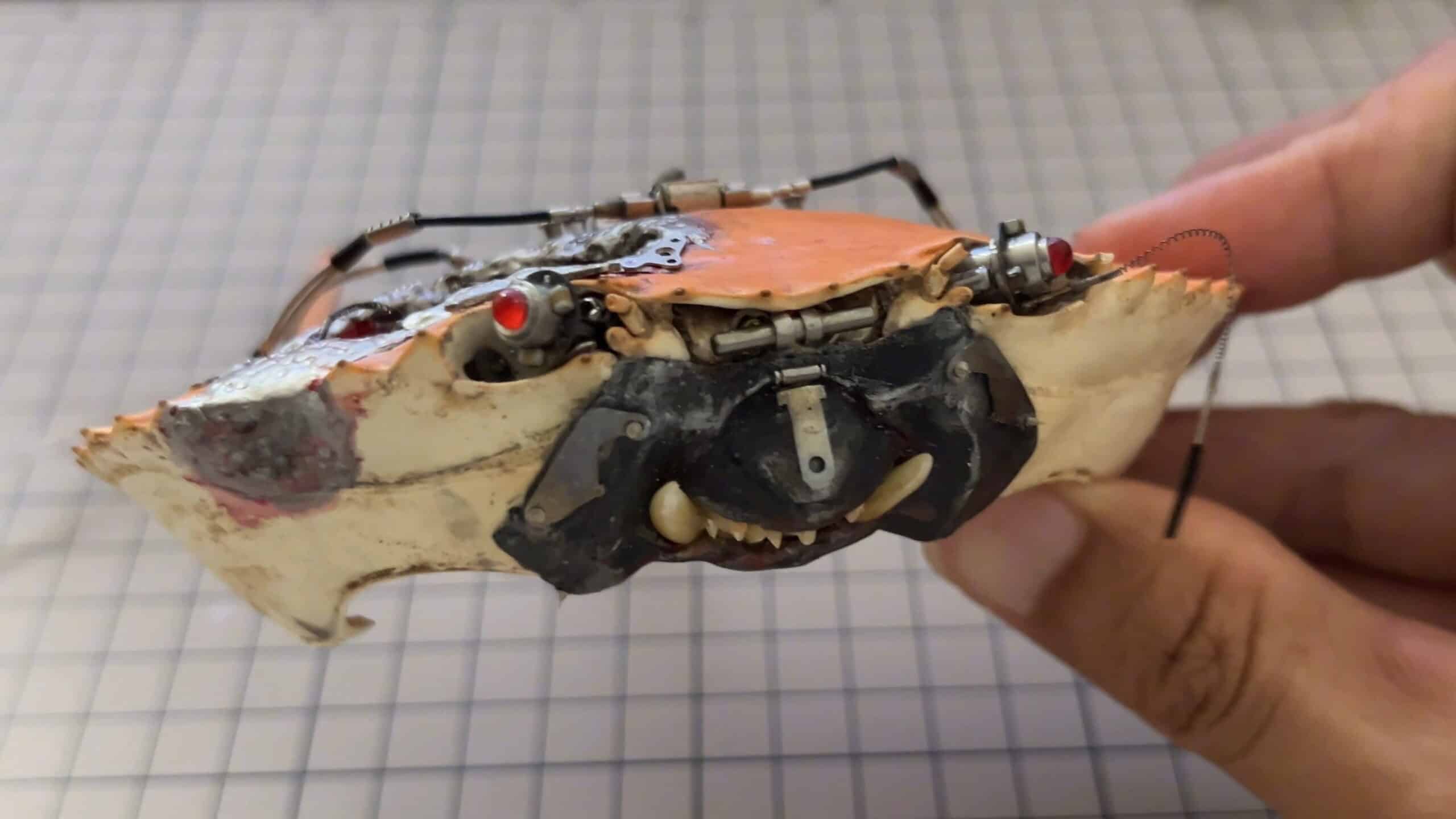 crab back shell mod scaled